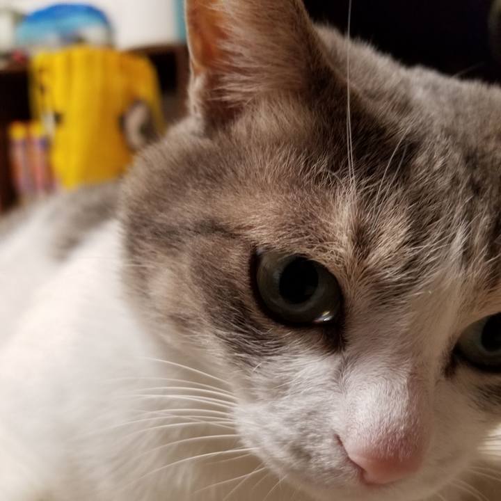 1bc66104 f538 436a bea9 37ab297dff8f 1612620271223