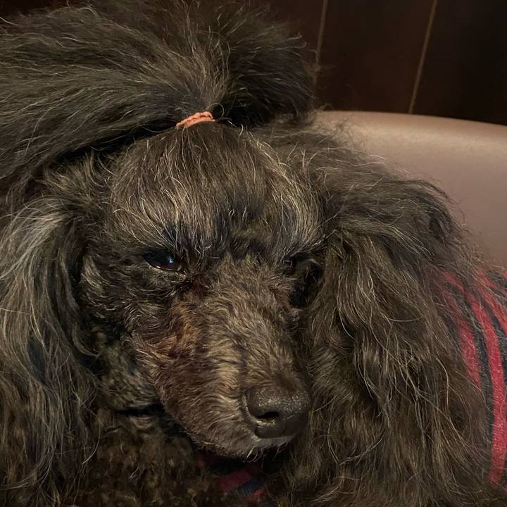 1bc670a7 6d85 4493 a17f 14894c6bfba1 1670800321735