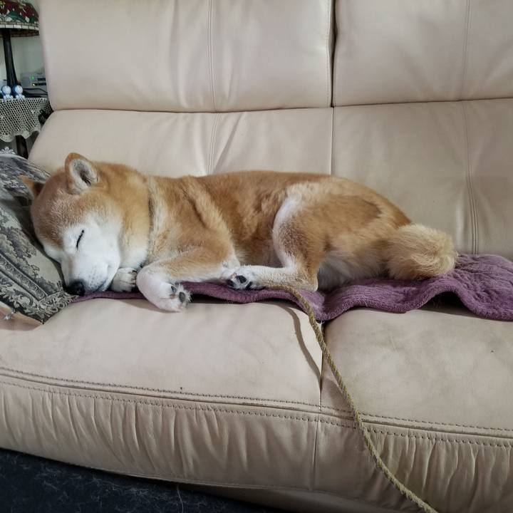 1bc68135 819b 4894 8aaa 06c0f0d7285a 1700521398730