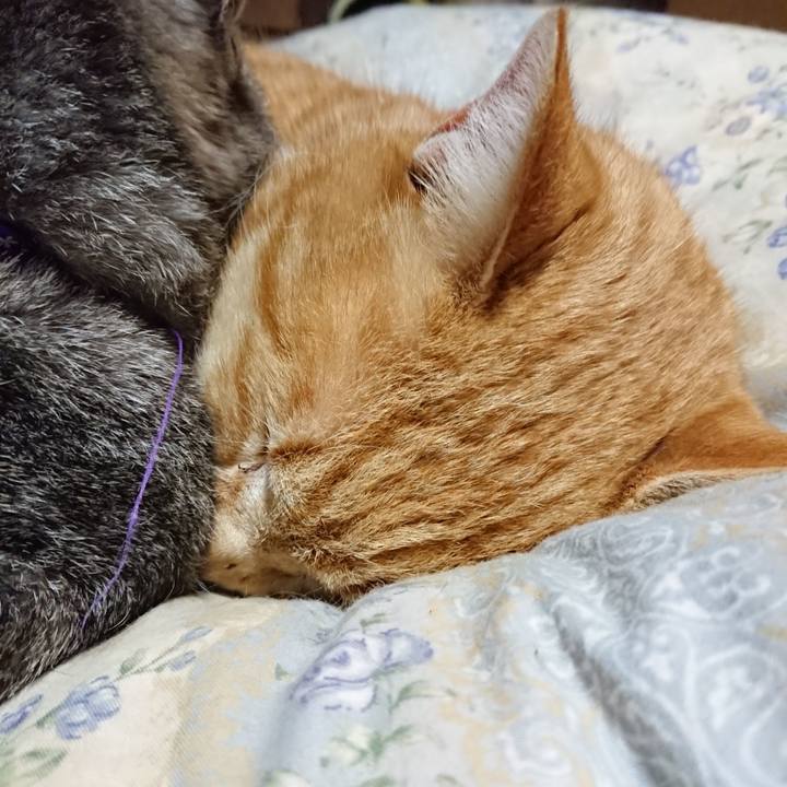 1bc6a49a 6629 40bc 958e 0027b9a5b77f 1579782973957