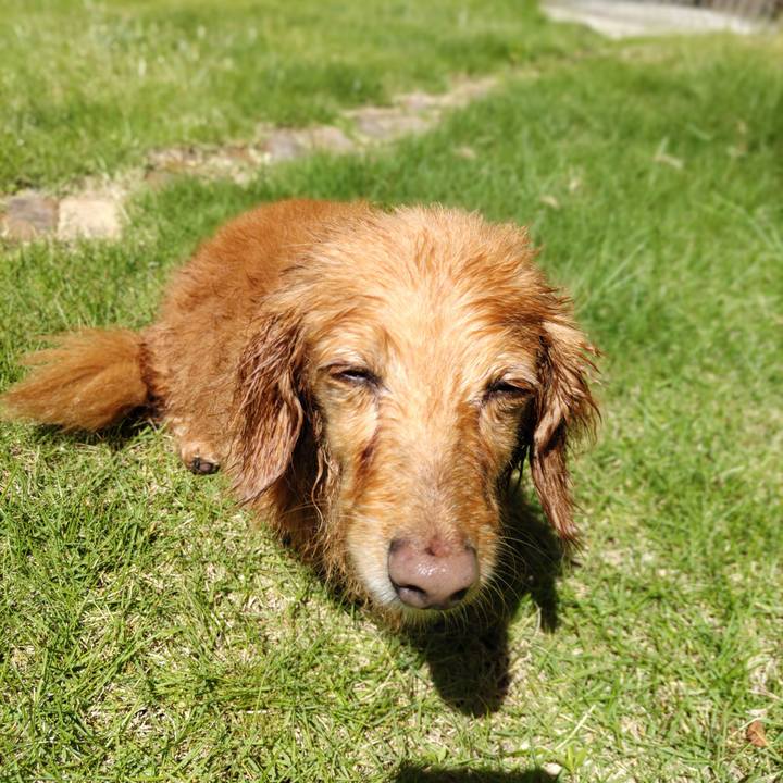 1bc6fd8d a78b 4487 a4ef 97e26a81b4a8 1654581822795