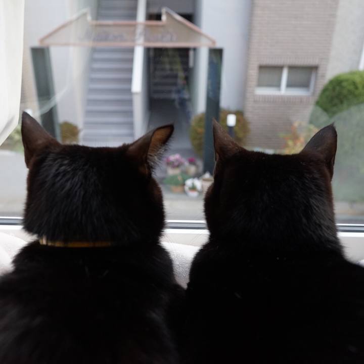 1bc6ffb5 7e10 4222 a029 a74234c70e5c 1546904034583