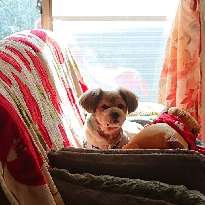 1bc73f97 a402 4d95 bcd1 0498061ef064 1552609890260