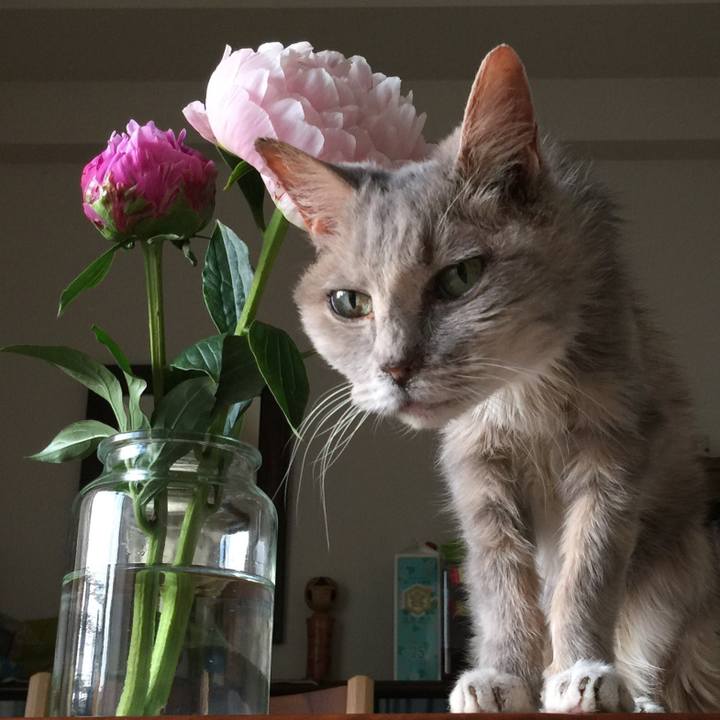 1bc77ca9 f29d 41c4 bbb2 c8a6001629ab 1527413435922