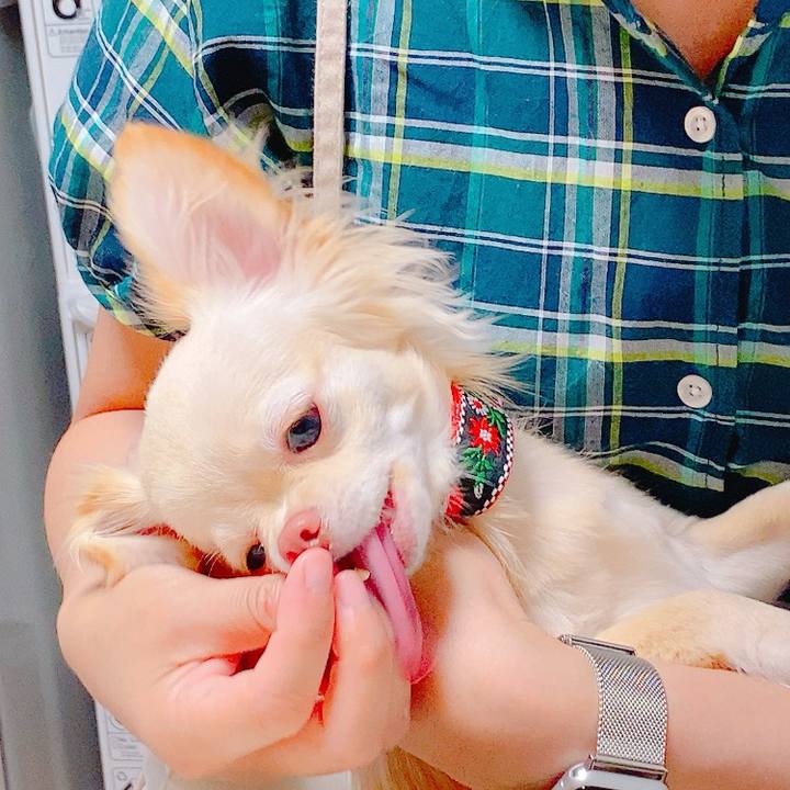 1bc7a520 4218 4a40 a66f 65ee22d793de 1623666878196