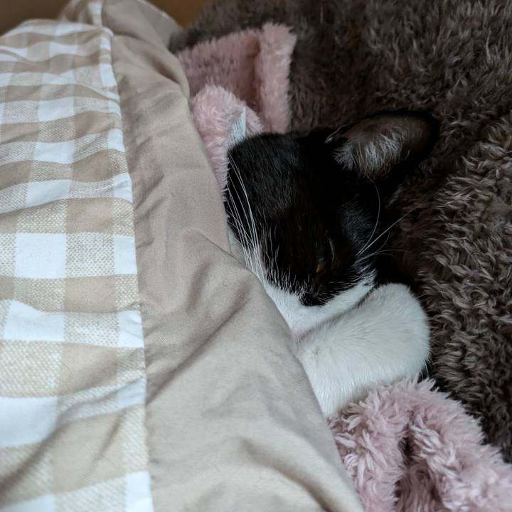 1bc7a705 69a3 46bd ba48 a576206320b5 1734864833351