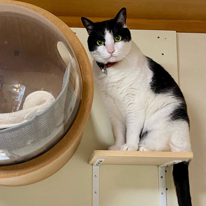 1bc7b684 bb2d 4f72 ba2b fb1e61b8f9a5 1738713756472