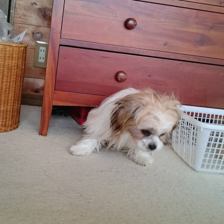 1bc7d02c cdca 4731 87e0 80a64a14d2df 1526820019706