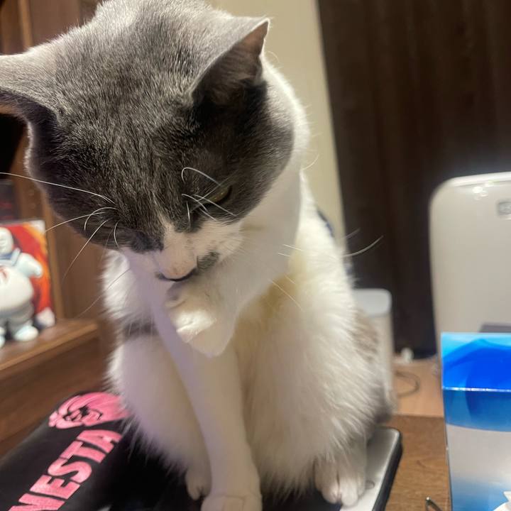 1bc7f1ea 1ecf 458f 823e a7fcc0972f81 1651751038545