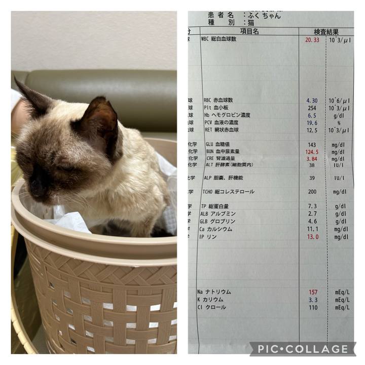 1bc7f6be 0945 42eb 9fdd f7a573526497 1717477077604