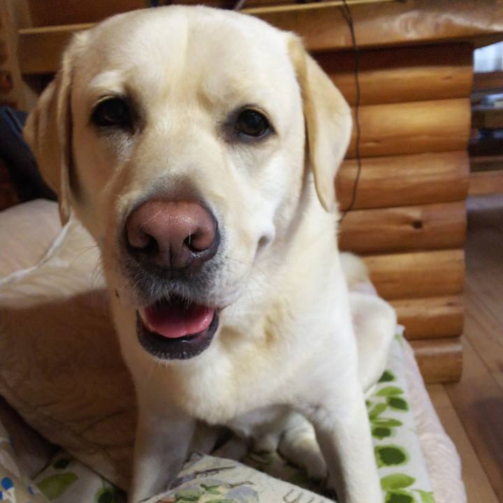 1bc84634 d48c 489f acb5 39e846c00ab0 1562932183950