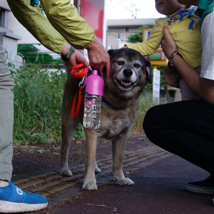 1bc859b3 39aa 4a9d 8383 ede3d9c4601c 1558263245771