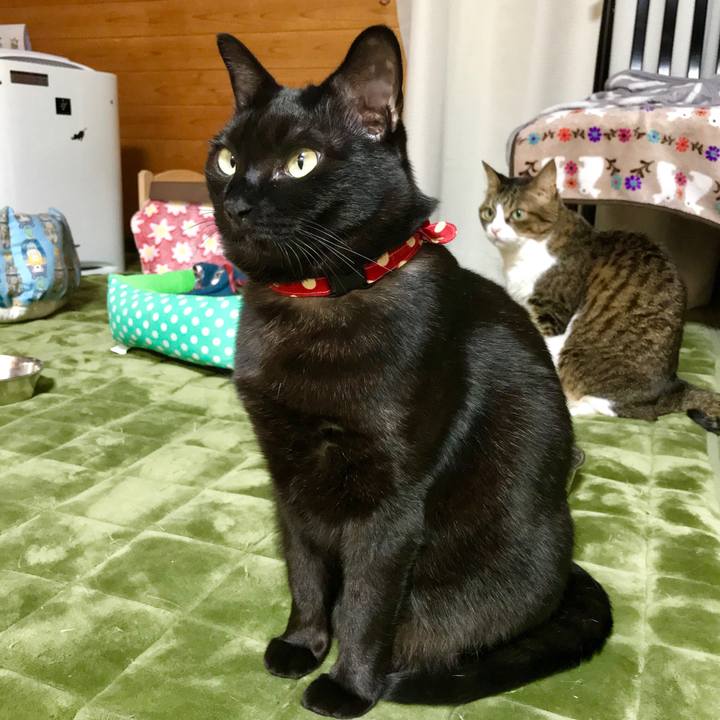 1bc876f2 0771 4184 9f29 2acfb0f9e6ff 1518355771296