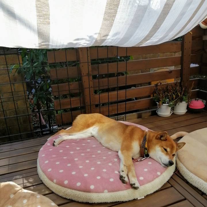 1bc88d77 8f1f 4ef0 8d00 b60fa8f4d532 1613977844679