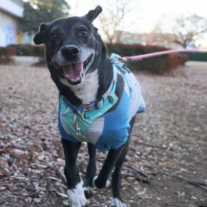 1bc8b237 7b07 4c40 a2b4 b09c186d74d3 1770164147112