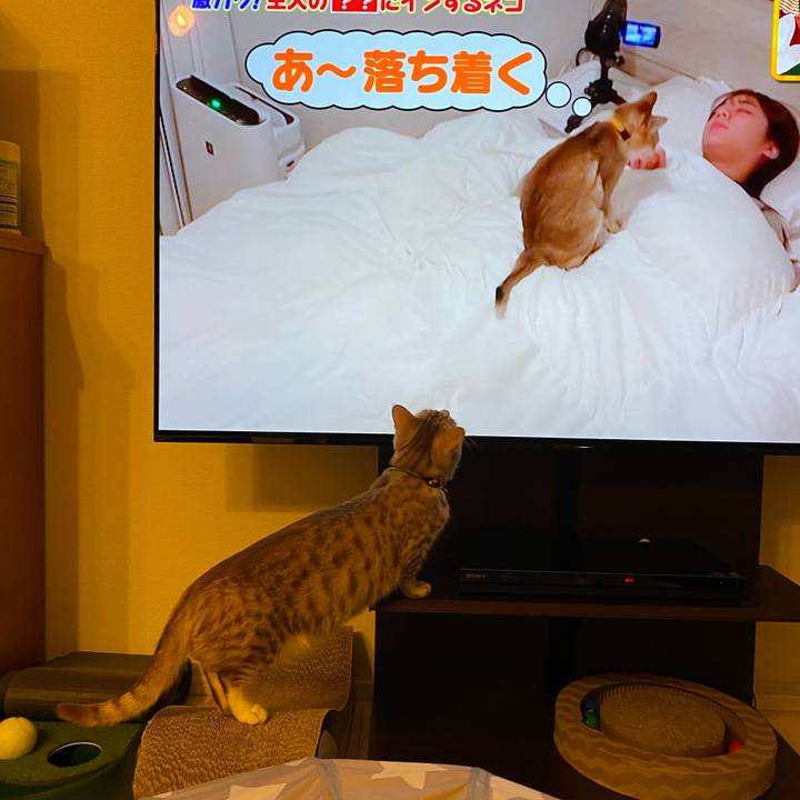 1bc8dfd9 ab2a 4b2c b6e8 02f1f3fc3f78 1643714680219