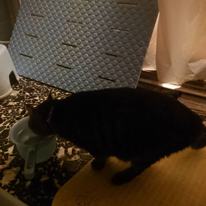 1bc8ef27 d052 4c92 98d0 dacdf5a0ca82 1640941793225