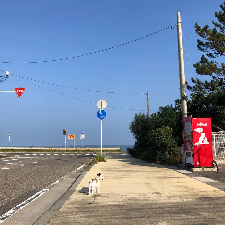 1bc8ef9f 4587 4905 92cd d4cfee5995b1 1597963664751