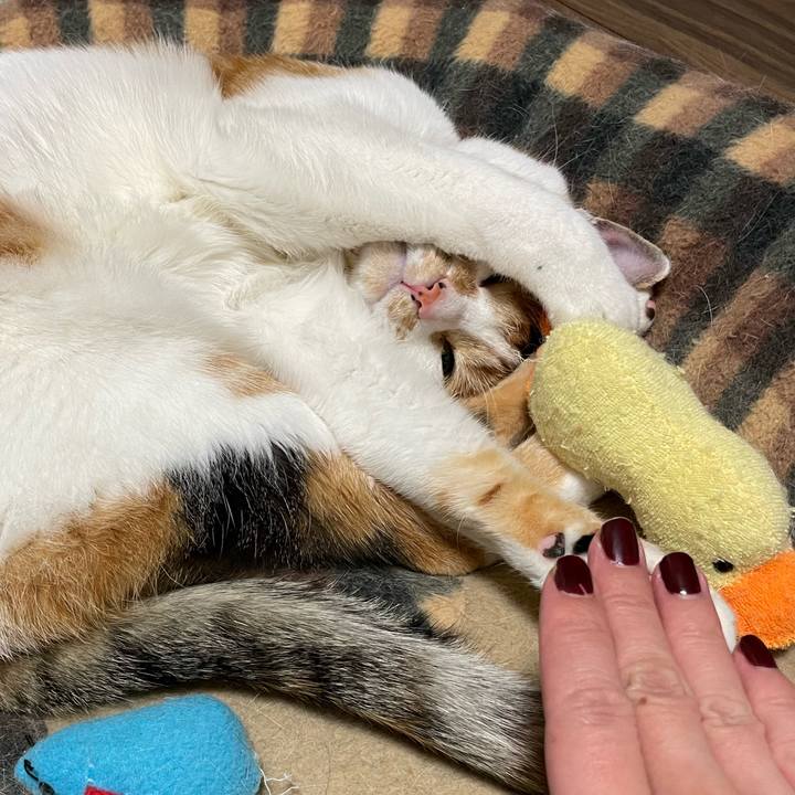 1bc912f9 9463 4c85 a587 8bada1f8598c 1639662158617