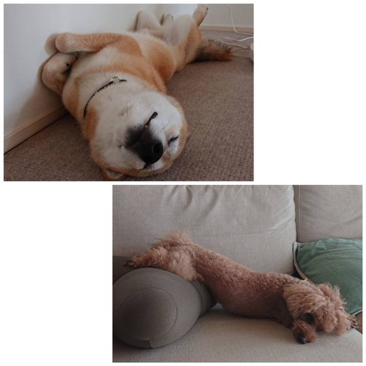 1bc9d7e1 0904 4a97 890b 03f86d31737a 1595755127679