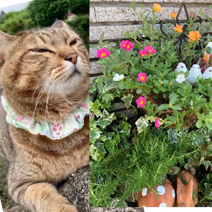 1bca1a40 017c 4421 97af 0aa6410bd1a8 1722642545892