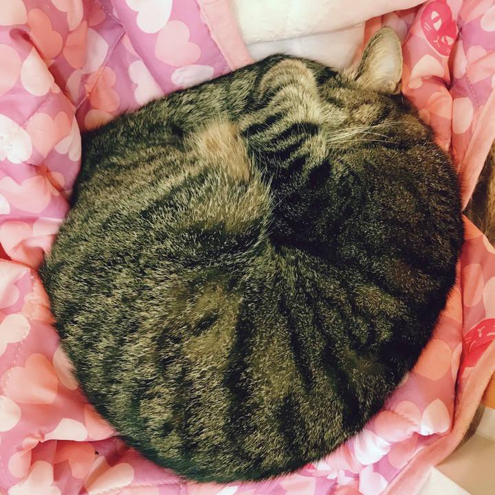 1bca2ca2 e4b1 4283 b9a7 53a625b6562c 1522845269106