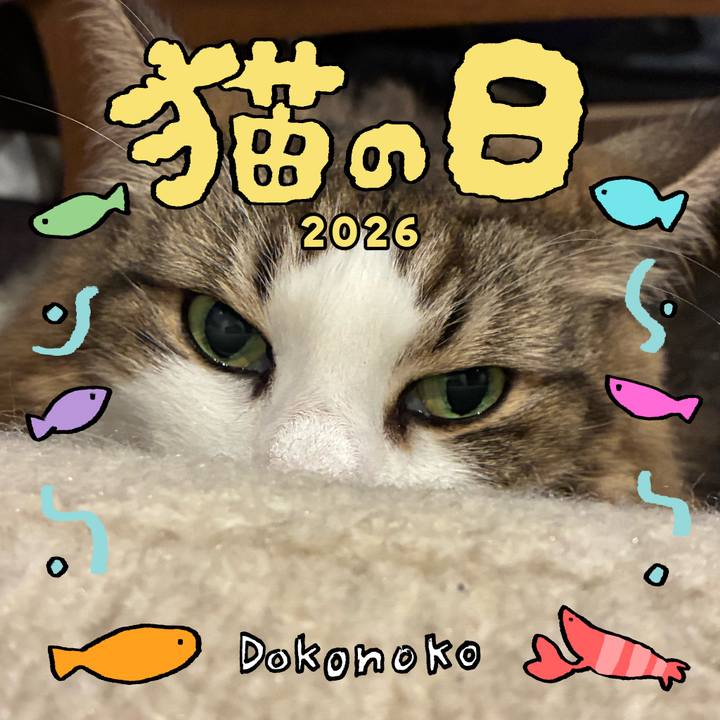 1bca4020 748b 4c74 b6d4 6103bfbcacae 1771758789213