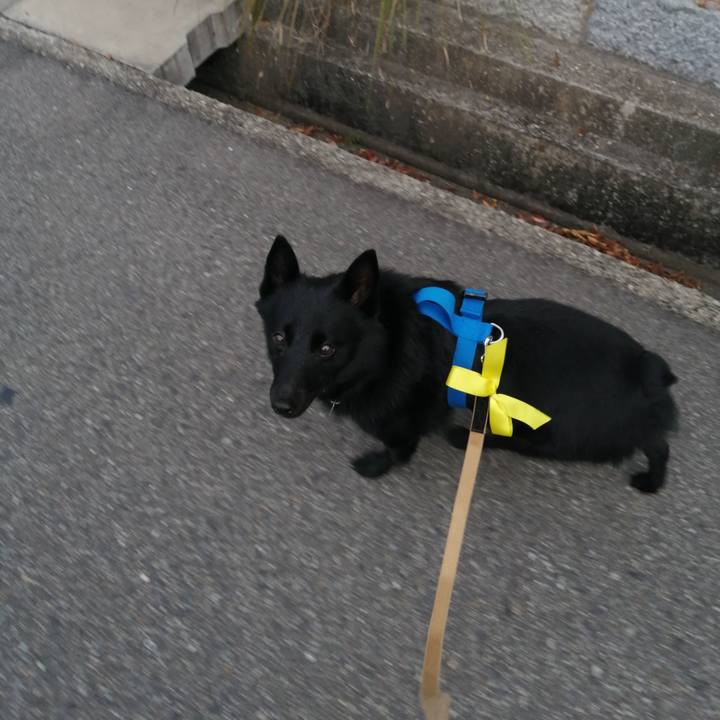 1bca4b6f 8e13 4a7e a53d 95fd5f916804 1636322173918