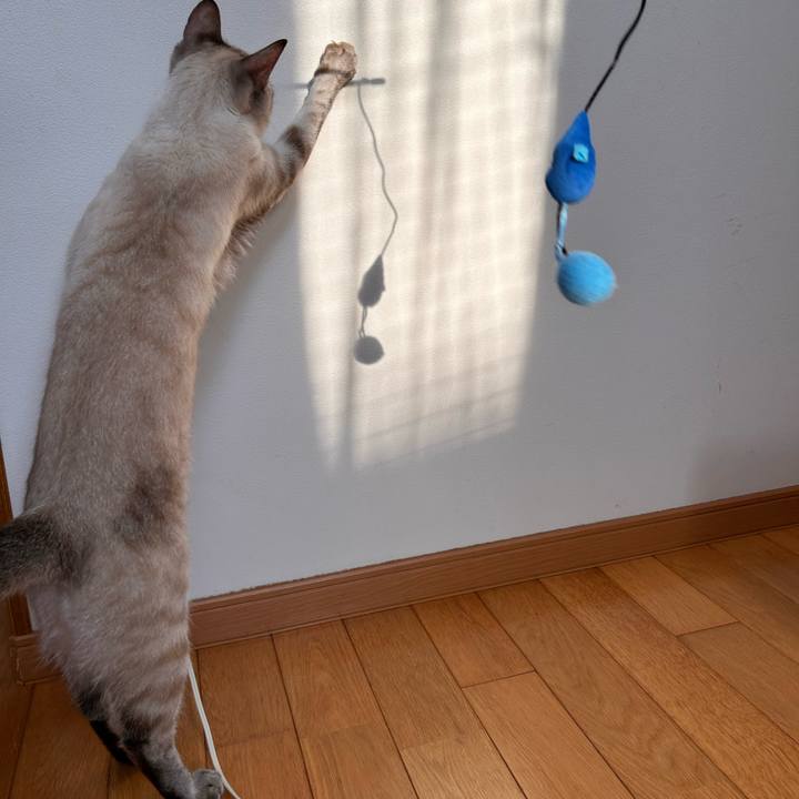 1bca6f25 1cd4 4b60 a061 959a62c37be7 1764138829610