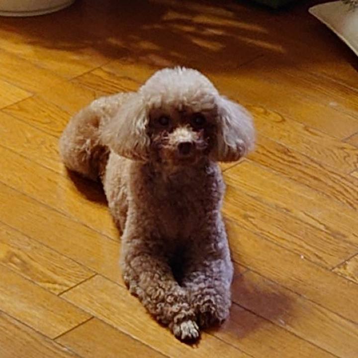 1bca806b 2cc9 444d bb12 913df769994e 1740913293263