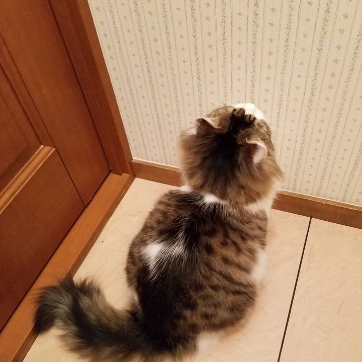 1bcac703 62e3 4c8b a4e8 aa154d8c41fe 1554337000263