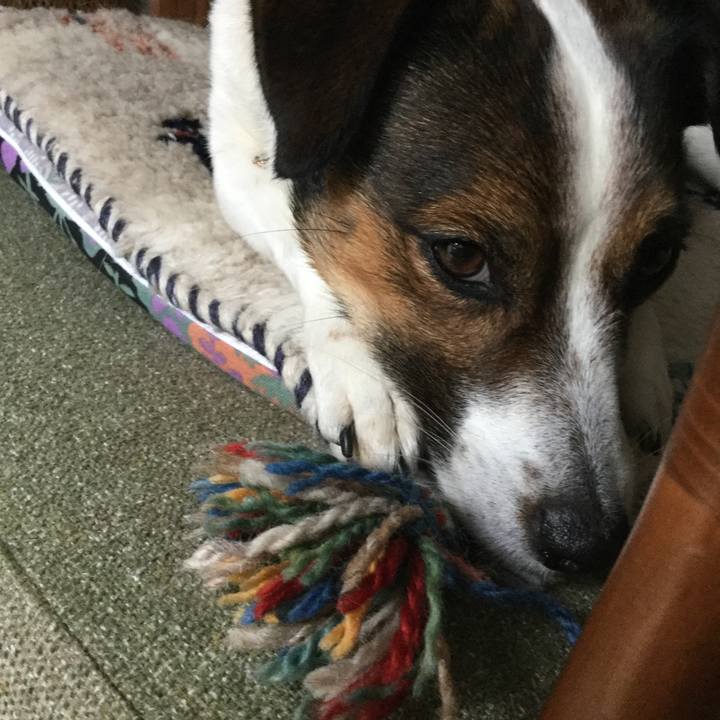 1bcb3c48 7dd6 4798 8e76 1917ea754204 1554937026620