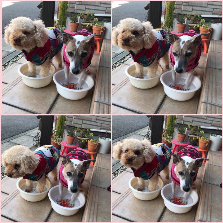 1bcb4892 9f55 4811 b361 897b99aeb480 1515808740830