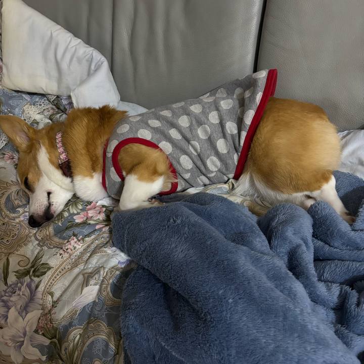 1bcb57c8 ef15 4ac1 9213 46f4c99b3dc1 1764955471630