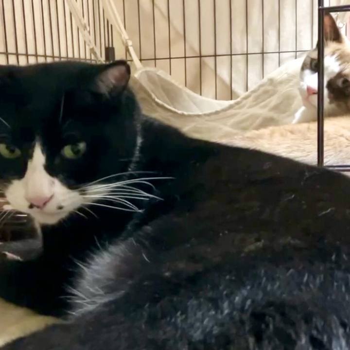 1bcb6375 d50e 46a0 b241 9ff94286a754 1728552870936