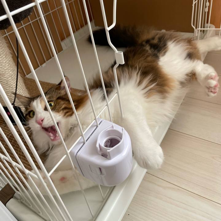 1bcb6796 d913 4103 834b bbbc325d2011 1647126505772