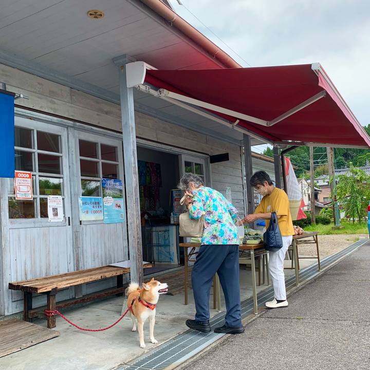 1bcb69c9 8a34 4a3f b250 5579c9d444bf 1625562957942