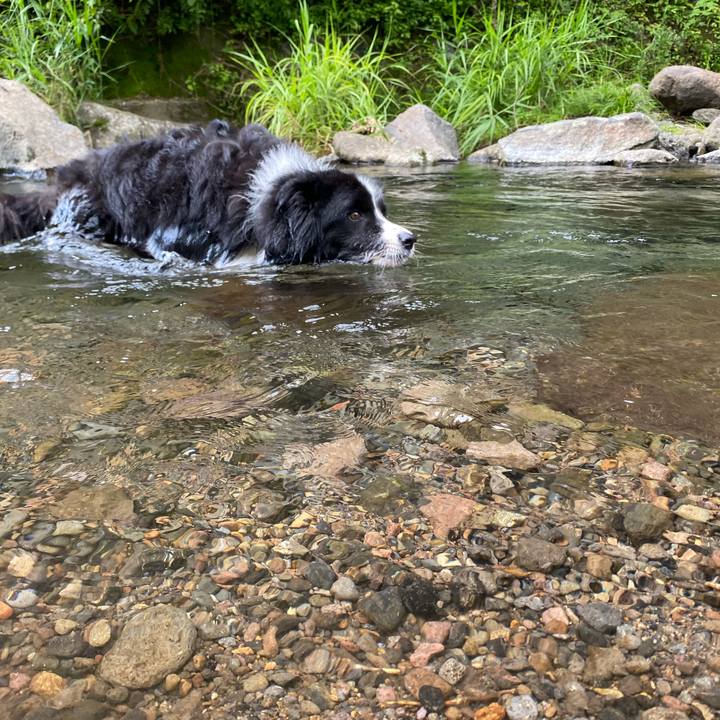 1bcb8ab2 c72e 4cfd b04a e7810518a5c6 1630918530277