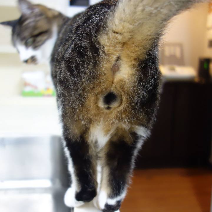 1bcba367 617c 4c0e b660 26e50d6ae3c9 1764861129181