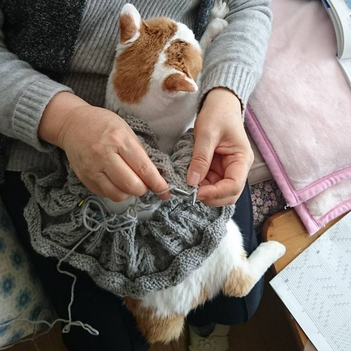 1bcc18c8 26b2 4a24 a931 cd03342e59df 1514862756841