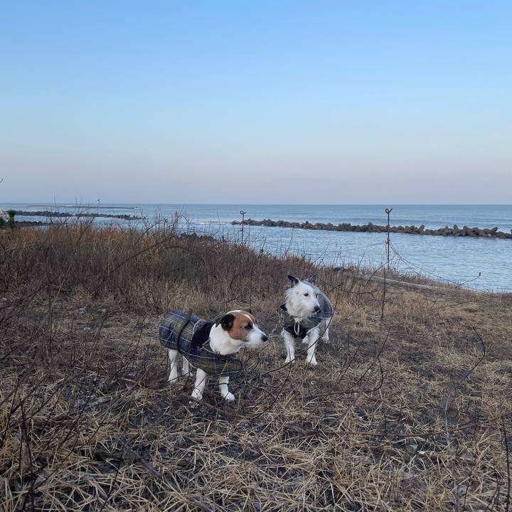 1bcc3002 ffa6 4e06 a43e f1caf4372891 1768606385889