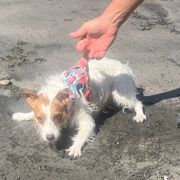 1bcc3f58 29e2 44c0 a1d3 41022342a929 1759813757087