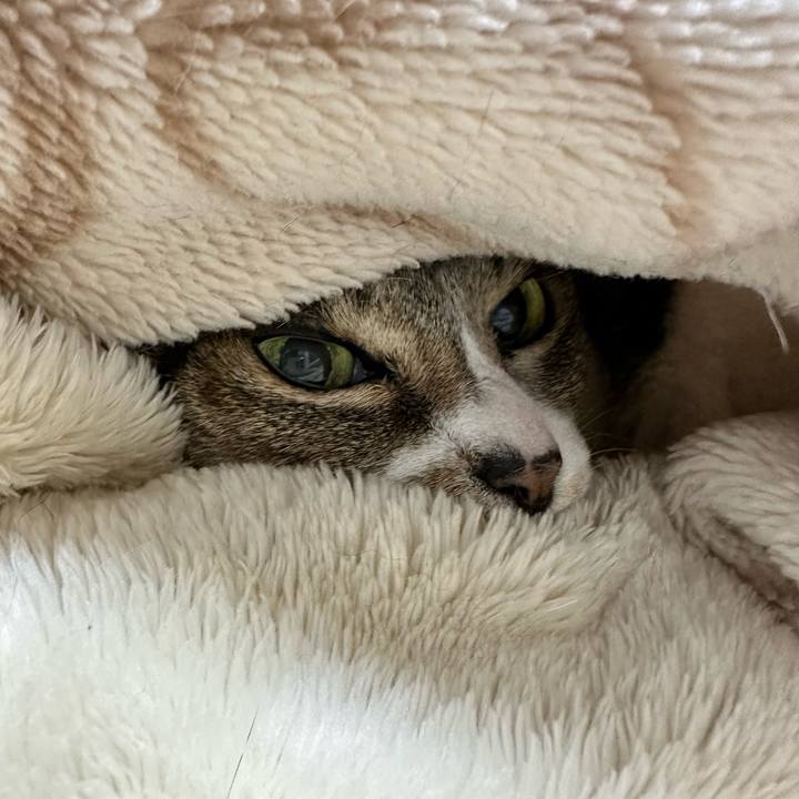 1bccac7c 350b 4859 8f1c 69af65a32864 1681004293313