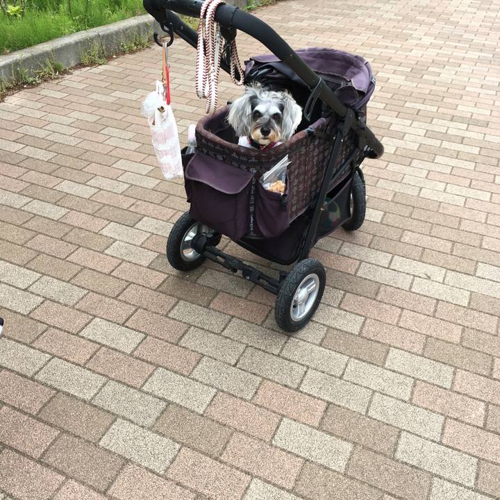 1bcccba3 2671 418f 8102 26c0f13a3290 1557113902342