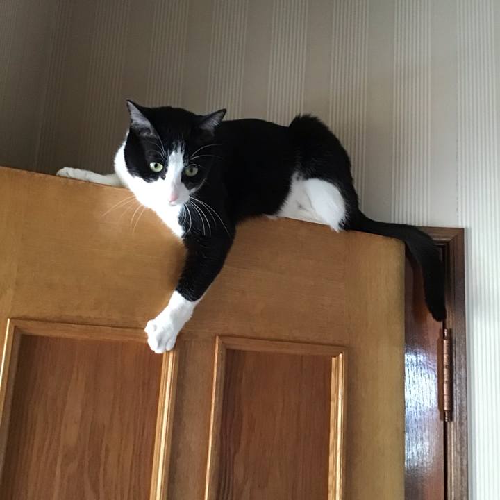 1bccde00 b631 4116 be02 c40e696367de 1712820249194