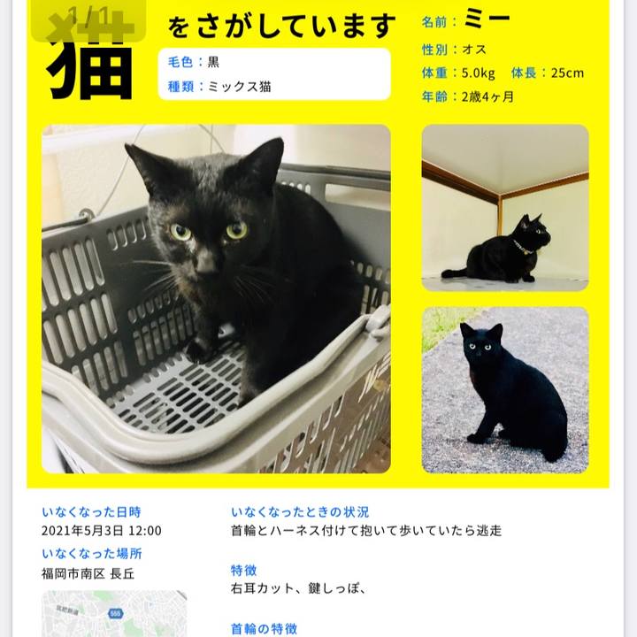 1bccf663 0fad 4ab2 a6c3 0ae1f9c81a59 1620121075354