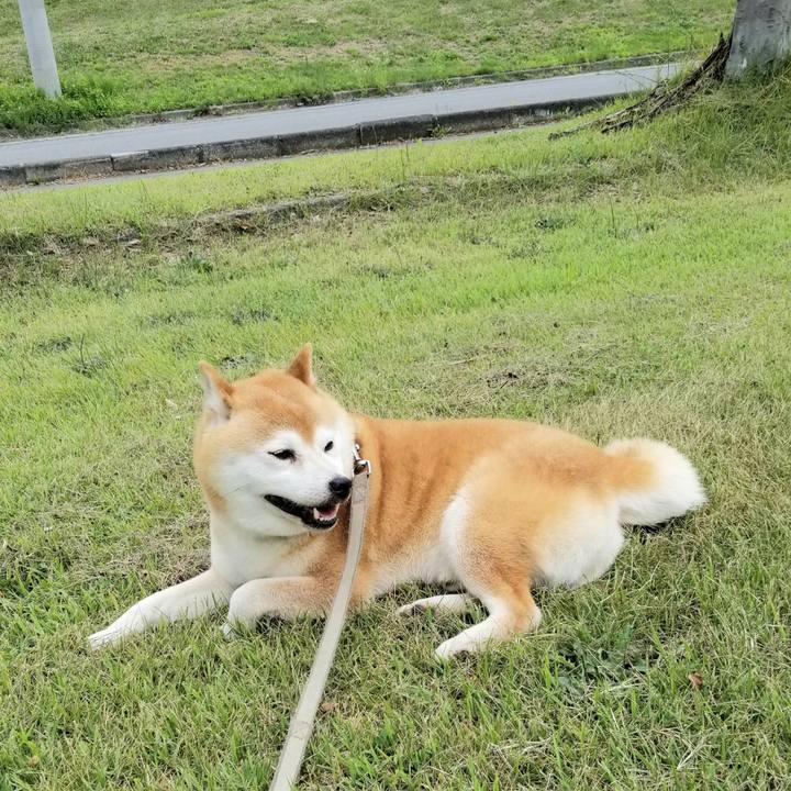 1bcd6215 05a0 4527 b0b6 d19d6c781574 1624866789926