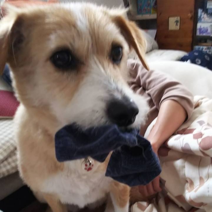 1bcd812d 2bcf 4918 96d3 937582f9f938 1553672016678