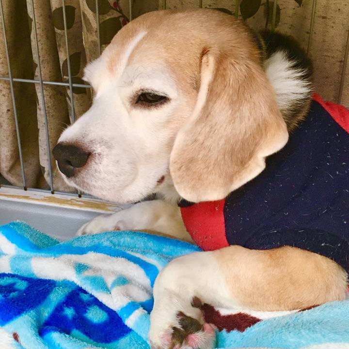 1bcd862d 6f42 4c84 87fa b8e38257a7a6 1765340851304