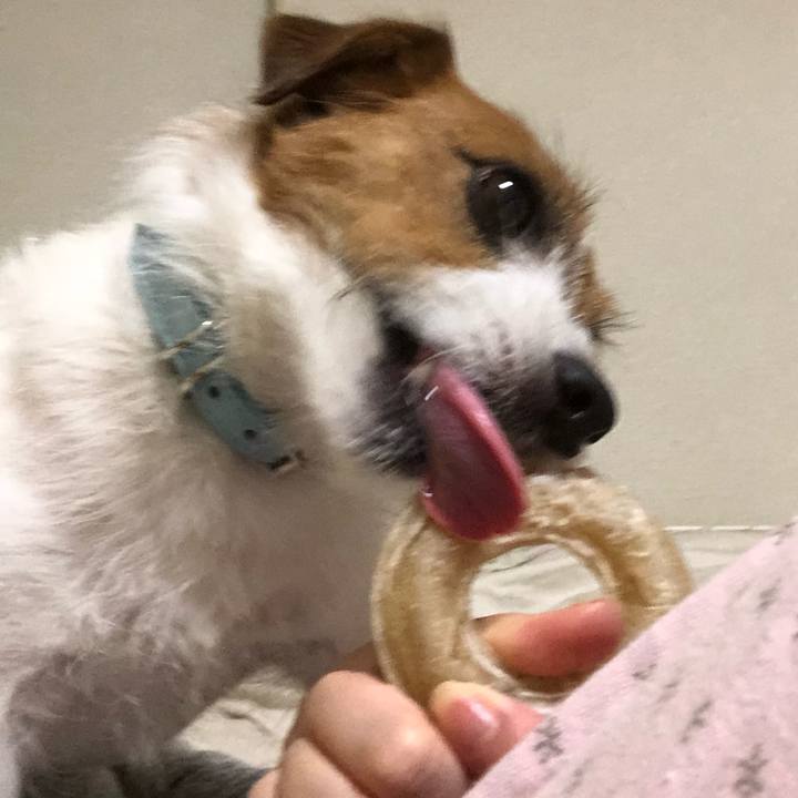 1bcdb619 f66e 4805 bdb2 88fde4b3a637 1526122463719